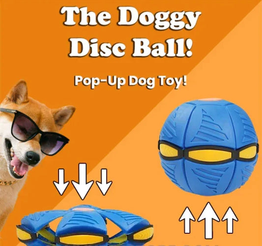 The Doggy Disc Ball